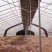 【聚划算】热镀锌椭圆管大棚钢管大棚大棚骨架