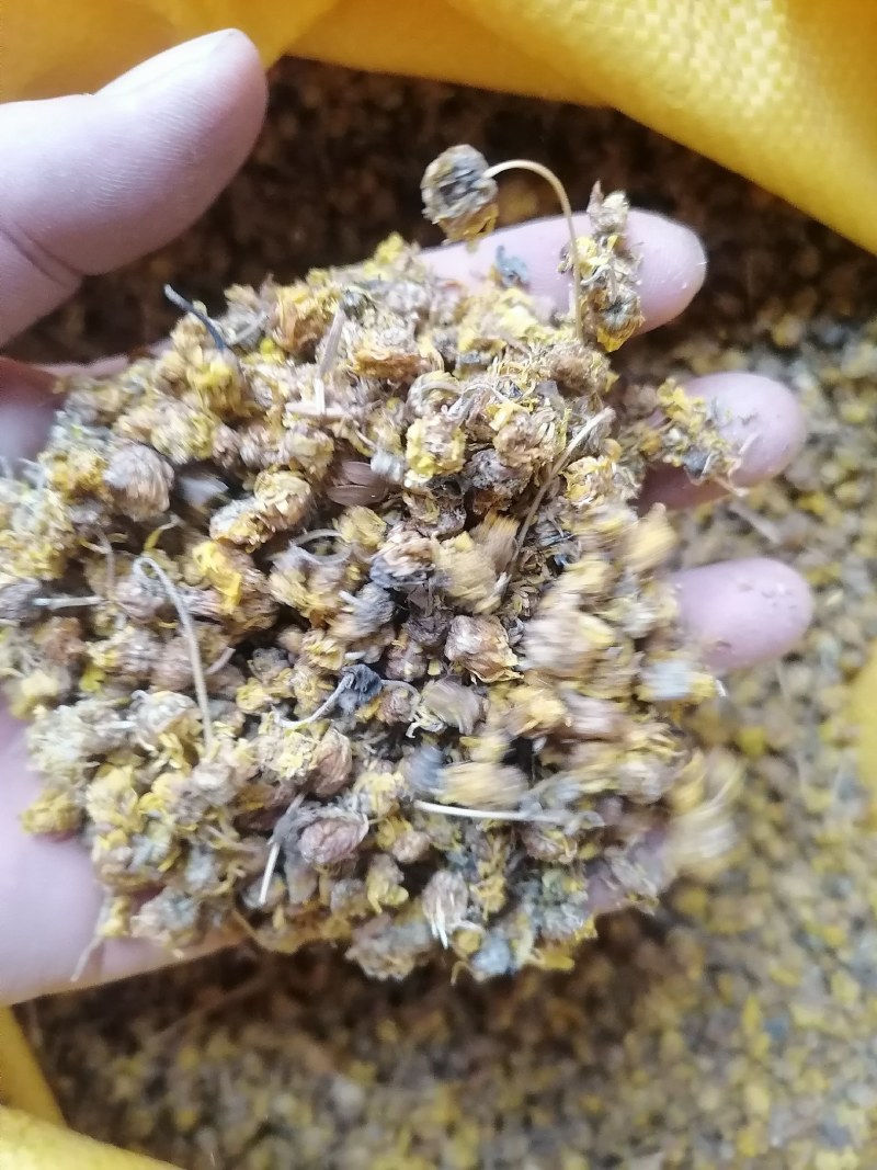 菊花干货批发价需要的联系我