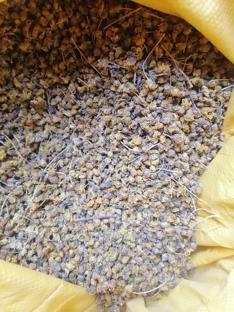 菊花干货批发价需要的联系我