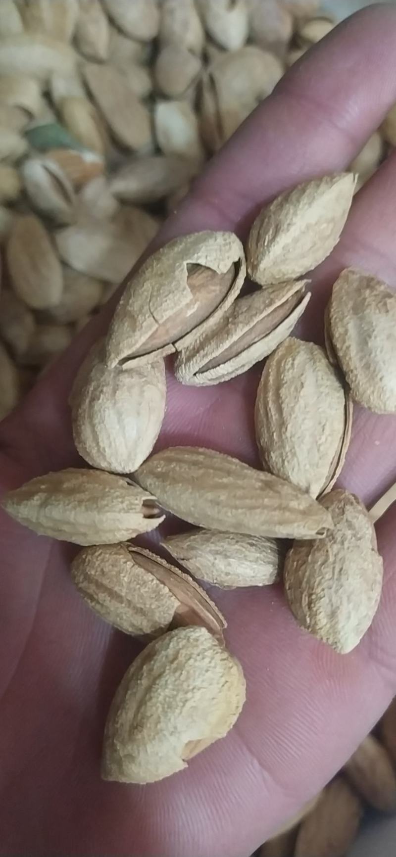 包邮包邮年新疆纸皮巴旦木仁，巴旦木仁新疆特产精品