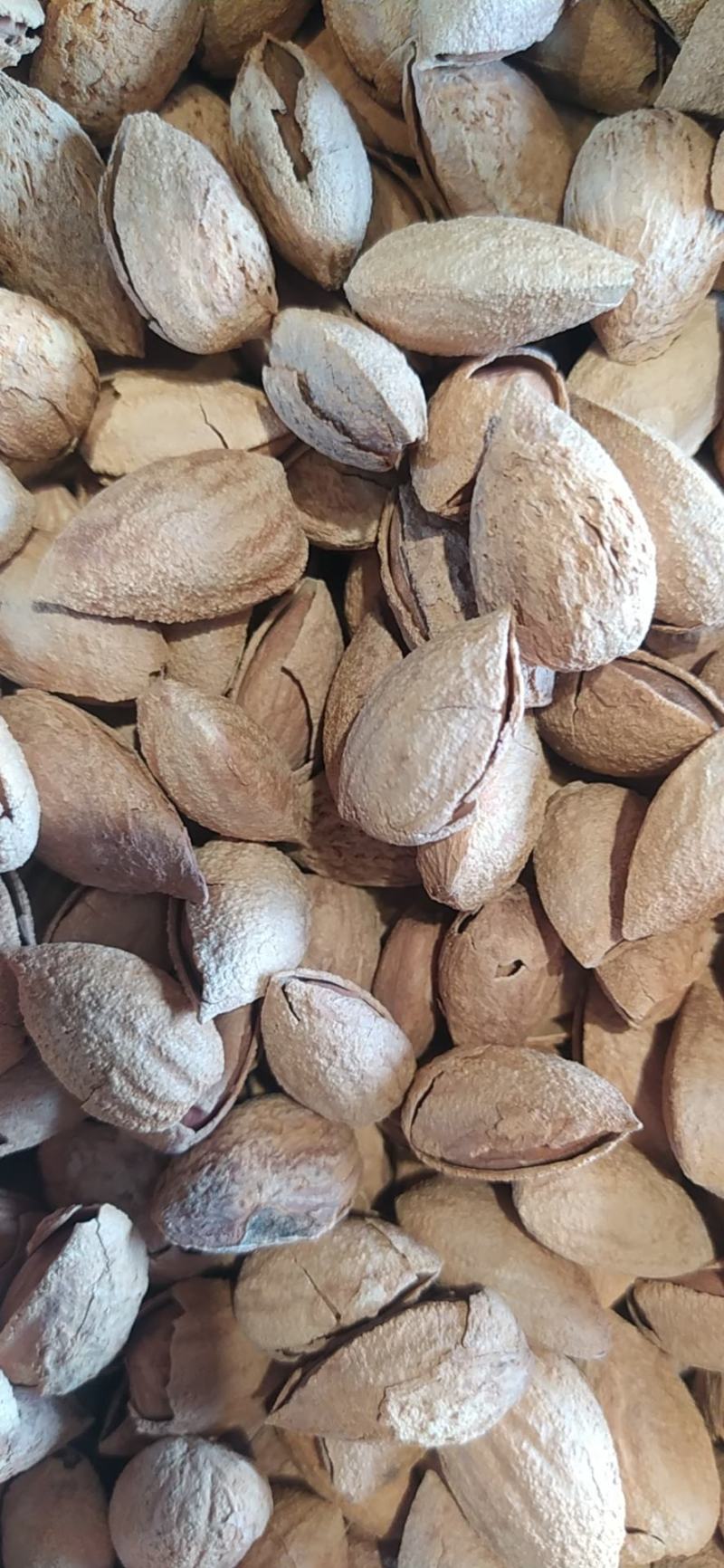 包邮包邮年新疆纸皮巴旦木仁，巴旦木仁新疆特产精品