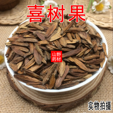 云南中药材喜树果500g包邮14.9