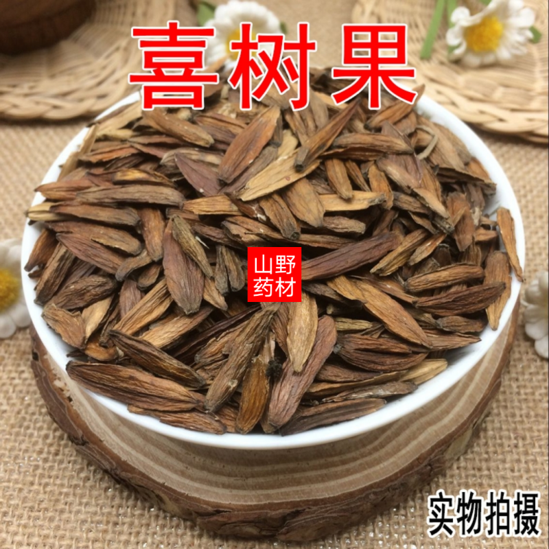 云南中药材喜树果500g包邮14.9