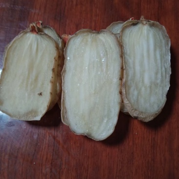 天麻各种规格批发，昭通小草坝天麻
