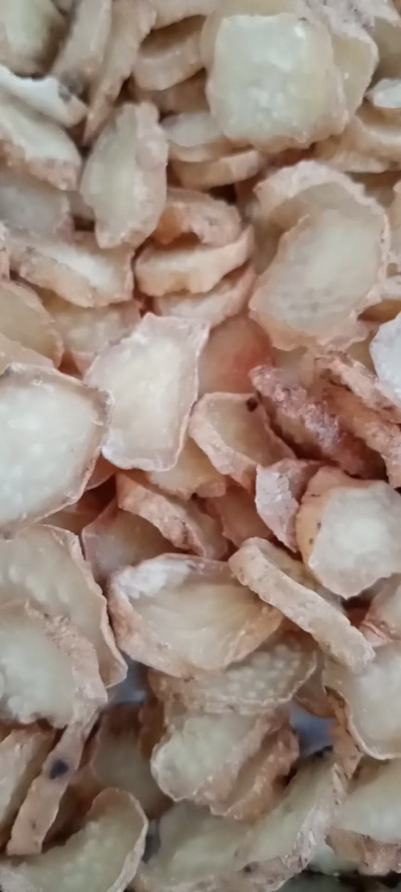 天麻各种规格批发，昭通小草坝天麻