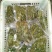 【源头厂家】沂蒙山露天红香椿芽手工腌制红香椿咸菜