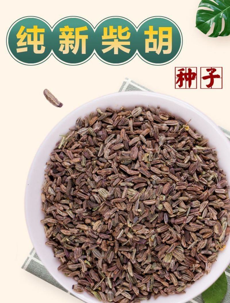 新红柴胡种子黑柴胡种子北柴胡种子甘肃柴胡种子狭叶柴胡