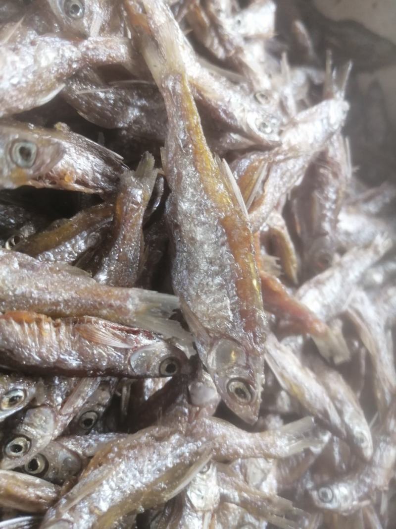 海南油炸开肚白肖（别名白条）油炸，不开肚油炸7-12公分