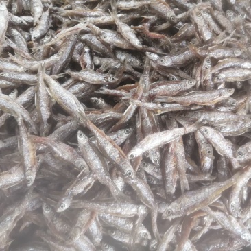海南油炸开肚白肖（别名白条）油炸，不开肚油炸7-12公分