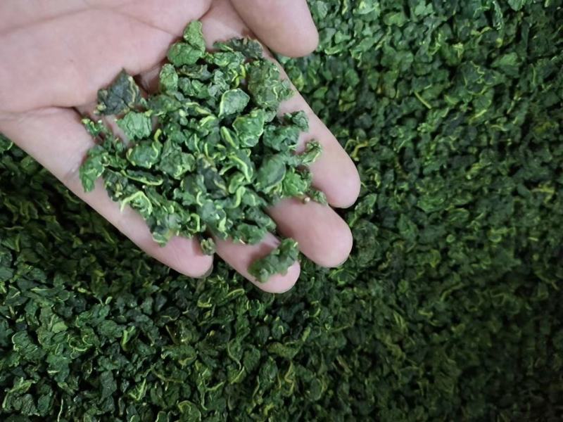 霜后桑叶茶一斤也包邮袋装经济实惠通过检测