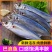 新鲜巴浪鱼海鲜水产冷冻海鱼福建特产海捕冰鲜鳀鱼提鱼