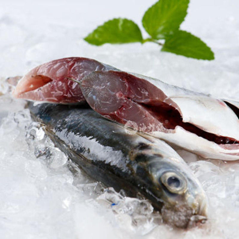 新鲜巴浪鱼海鲜水产冷冻海鱼福建特产海捕冰鲜鳀鱼提鱼