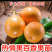 [热销]新品种哥伦比亚热情百香果果苗热情果苗正品苗