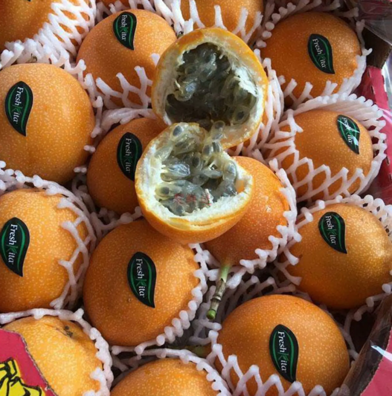 [热销]新品种哥伦比亚热情百香果果苗热情果苗正品苗