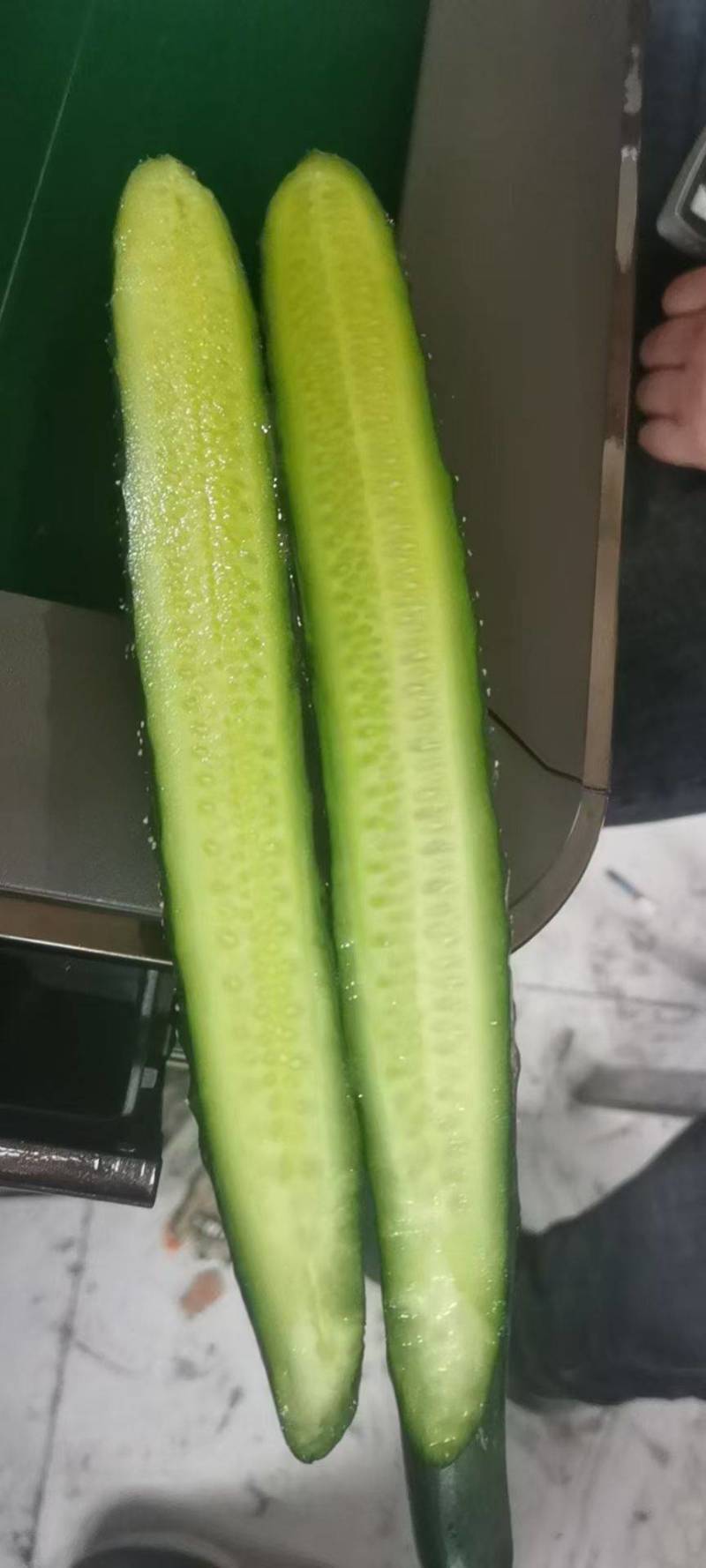苍山温室黄瓜不限量供应