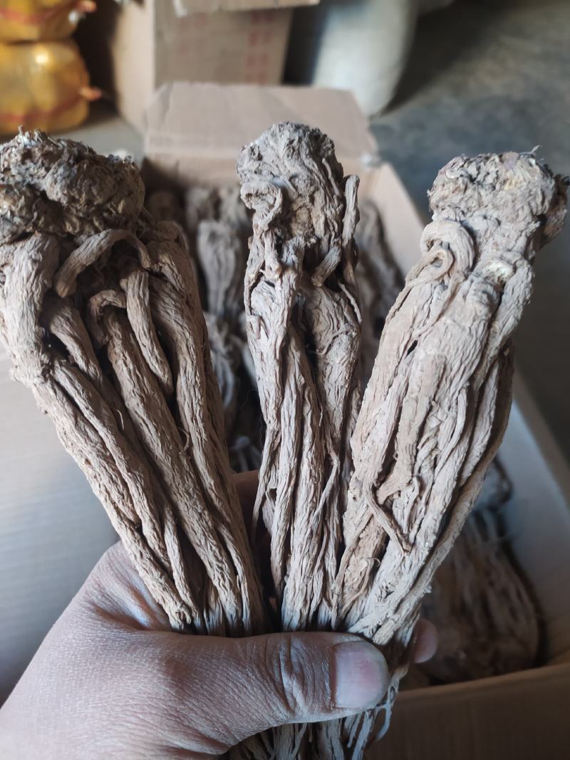 当归岷当归马尾归无硫原条黑高含量品质优新货大量现货供应