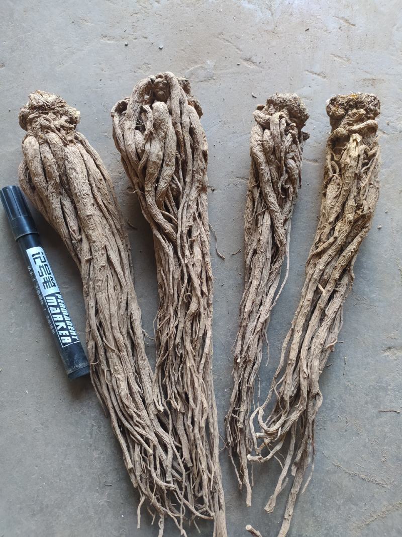 当归岷当归马尾归无硫原条黑高含量品质优新货大量现货供应