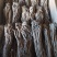 当归岷当归马尾归无硫原条黑高含量品质优新货大量现货供应