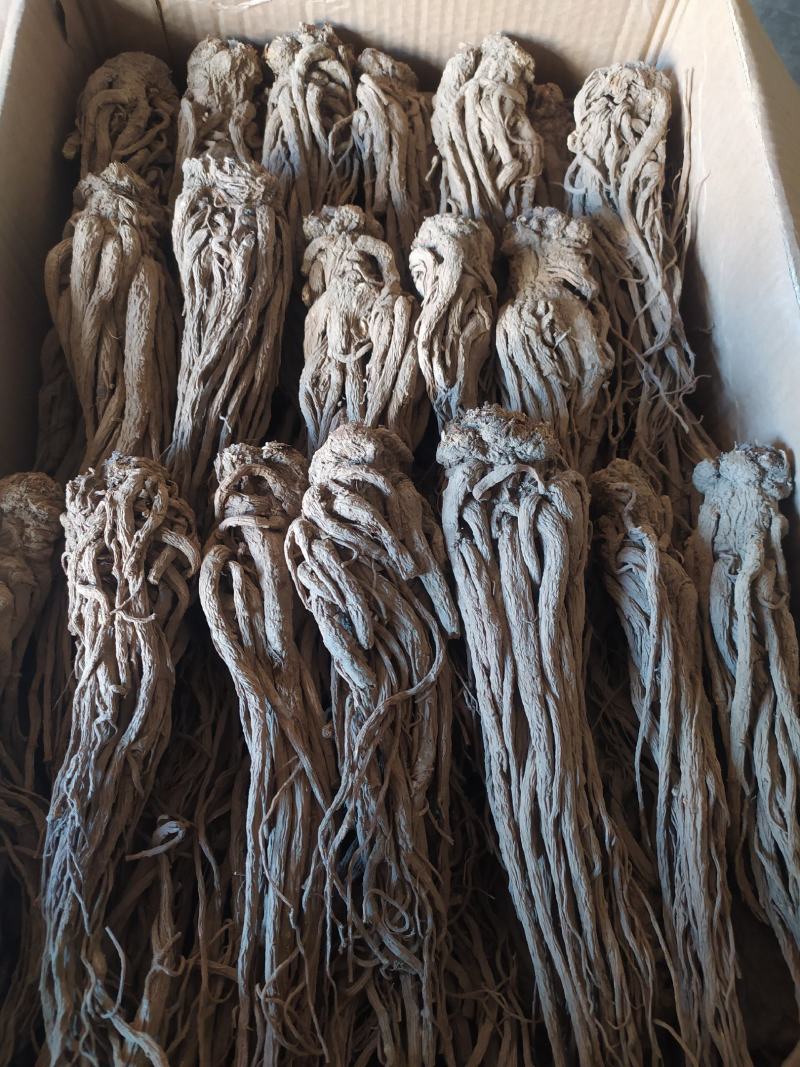 当归岷当归马尾归无硫原条黑高含量品质优新货大量现货供应