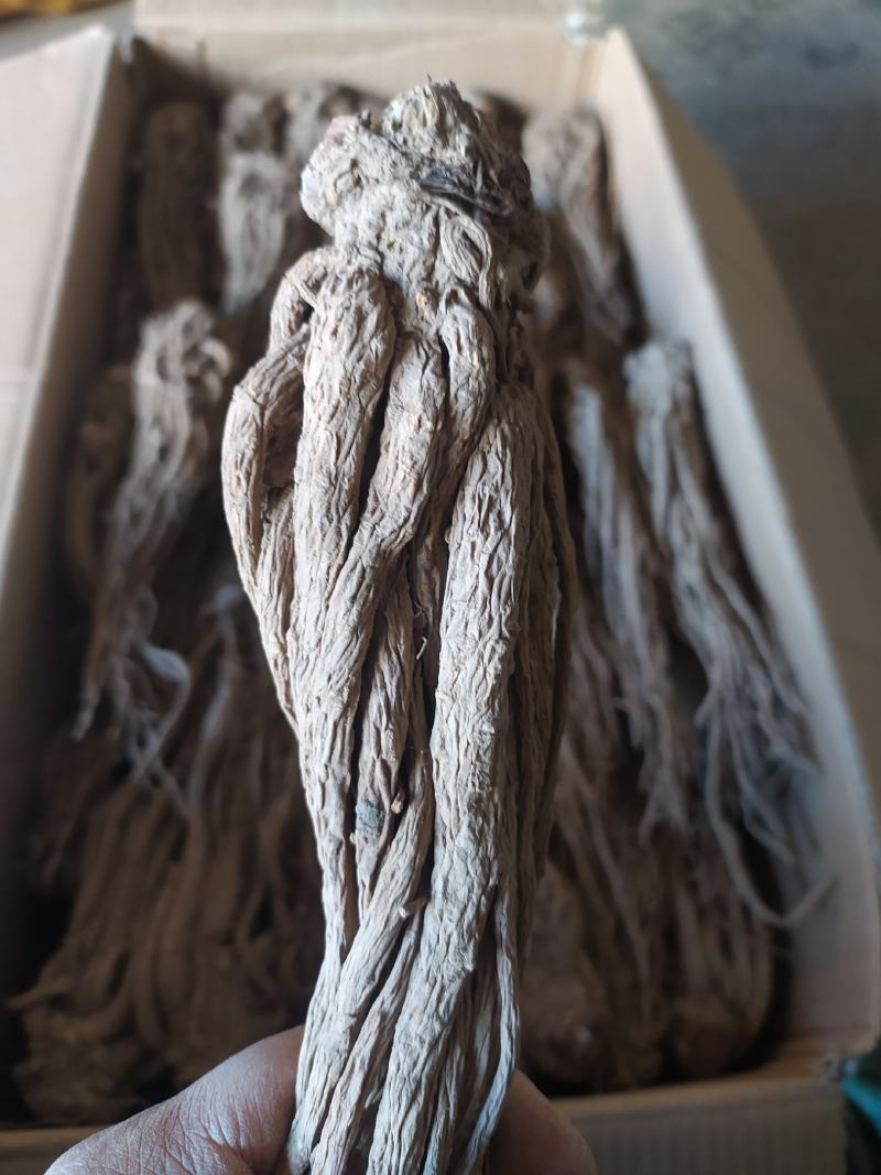 当归岷当归马尾归无硫原条黑高含量品质优新货大量现货供应