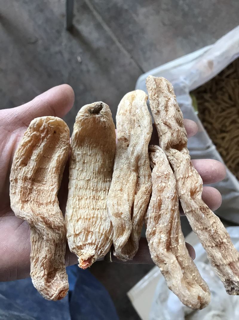 云南昭通非野生乌天麻丽江红天麻特级黑天麻丽江红天麻
