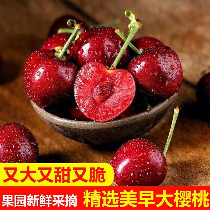 山东樱桃大樱桃车厘子新鲜樱桃水果个大脆甜饱满全国发货