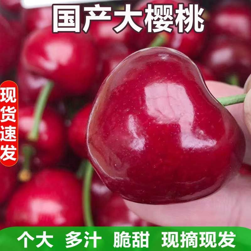 山东樱桃大樱桃车厘子新鲜樱桃水果个大脆甜饱满全国发货