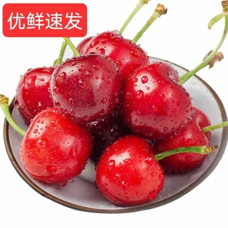 山东樱桃大樱桃车厘子新鲜樱桃水果个大脆甜饱满全国发货