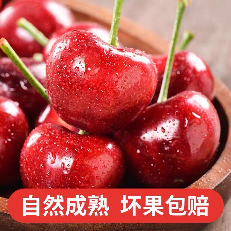 山东樱桃大樱桃车厘子新鲜樱桃水果个大脆甜饱满全国发货