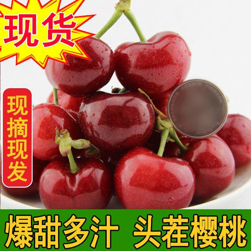 山东樱桃大樱桃车厘子新鲜樱桃水果个大脆甜饱满全国发货