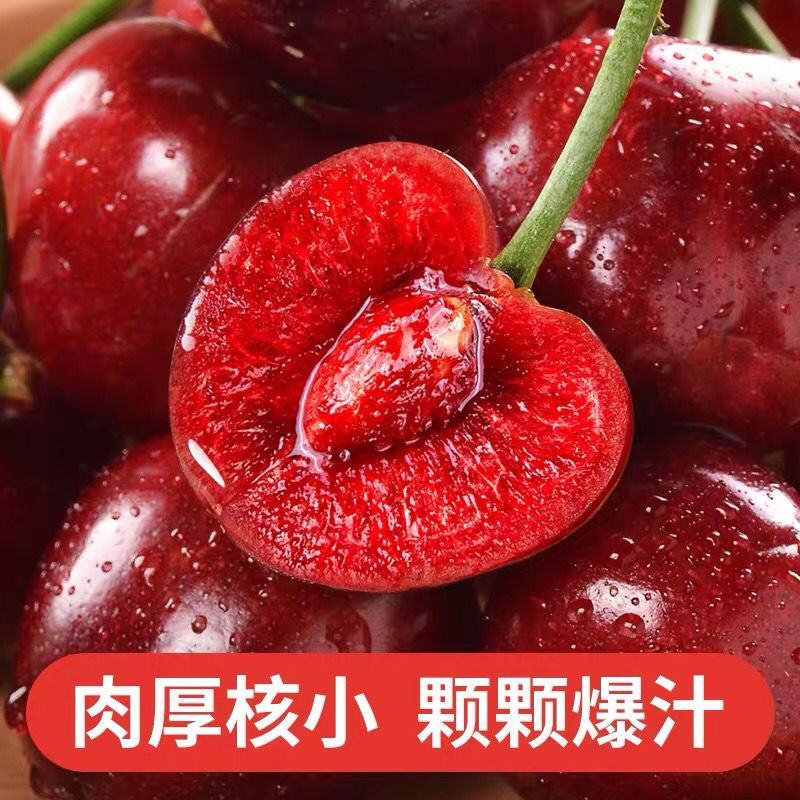 山东樱桃大樱桃车厘子新鲜樱桃水果个大脆甜饱满全国发货