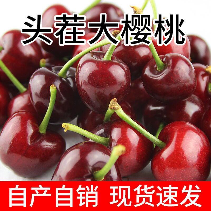 山东樱桃大樱桃车厘子新鲜樱桃水果个大脆甜饱满全国发货