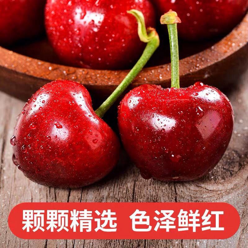 山东樱桃大樱桃车厘子新鲜樱桃水果个大脆甜饱满全国发货