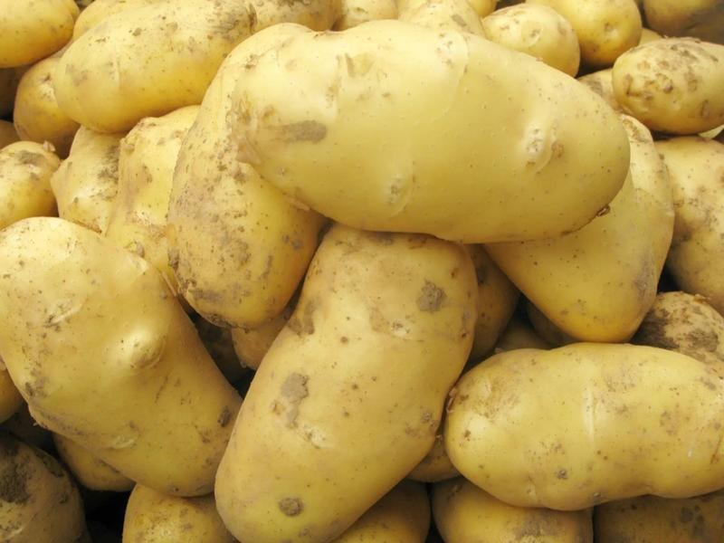 【实力推荐】土豆产地直发货源充足保质保量量大从优