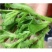 优质嫁接冰菜苗，根系发达，存活率高口感存正，耐运输抗病强
