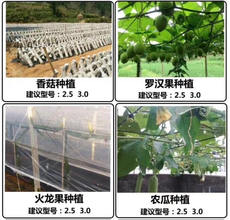 塑钢线高强度大棚线百香果火龙果葡萄棚架园艺线养殖网床拉绳