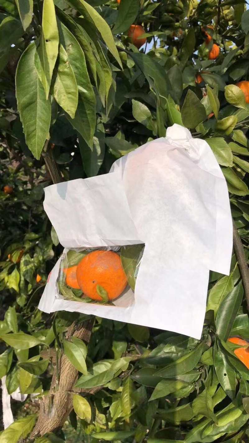 水果套袋莲雾套袋释迦袋芒果袋开窗袋加厚莲雾袋芒果莲雾果袋