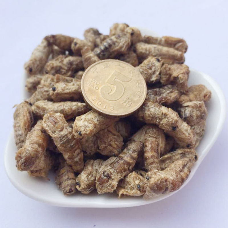 中药材原蚕雄蚕蛾公蚕蛾晚蚕蛾魏蚕蛾天蛾，免费磨粉