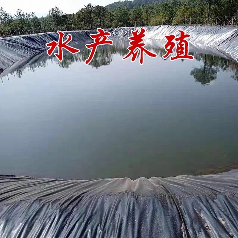 大棚膜厂家直销高品质黑白膜绿白膜养殖菌菇专用膜