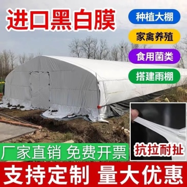 大棚膜厂家直销高品质黑白膜绿白膜养殖菌菇专用膜