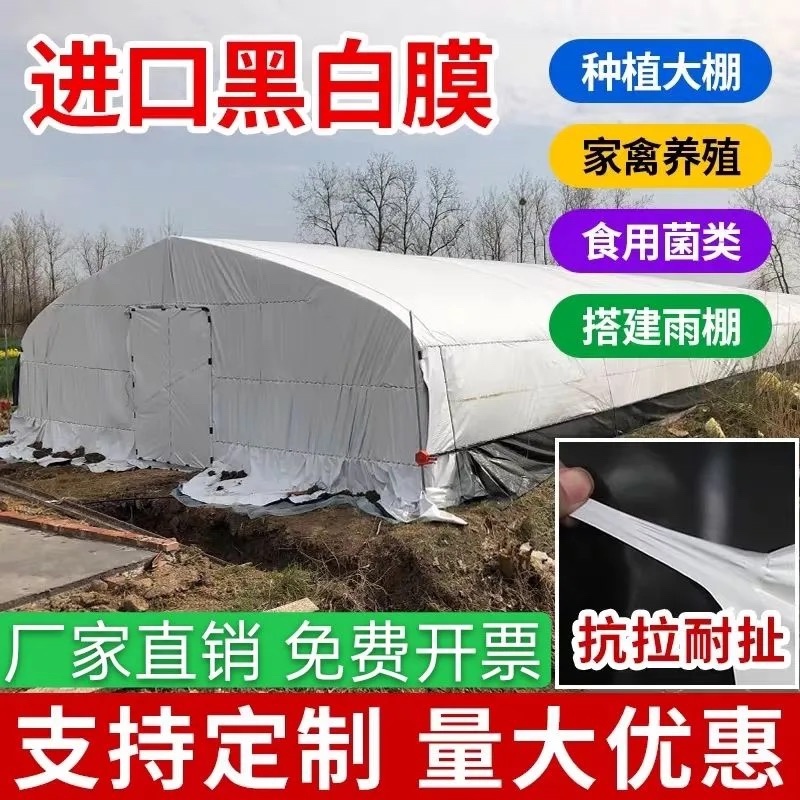 大棚膜厂家直销高品质黑白膜绿白膜养殖菌菇专用膜