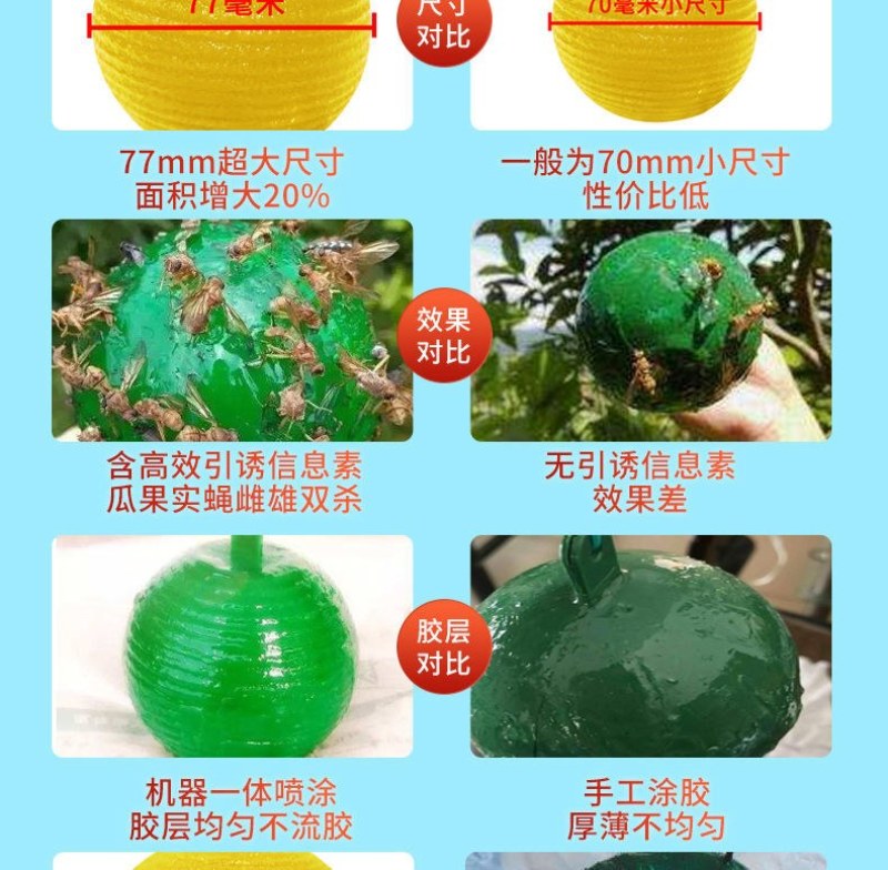 果实蝇诱蝇球针诱捕器大实蝇小实蝇引诱剂果蝇药果实蝇粘板