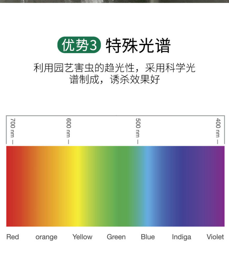 果实蝇诱蝇球针诱捕器大实蝇小实蝇引诱剂果蝇药果实蝇粘板