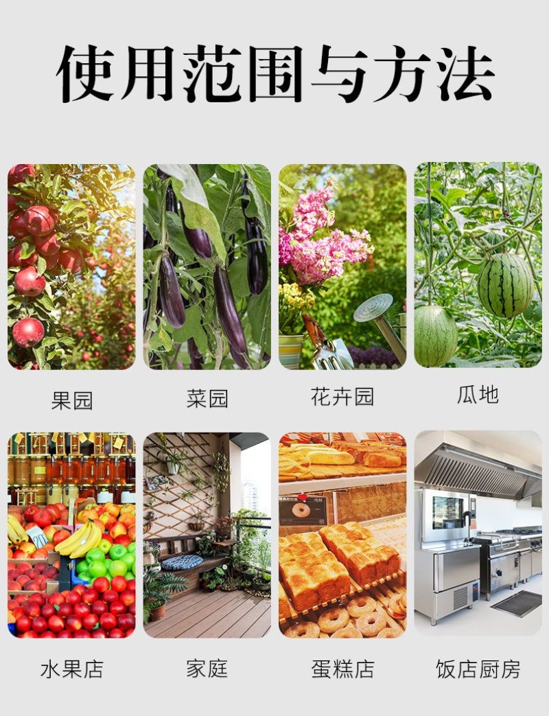 果实蝇诱蝇球针诱捕器大实蝇小实蝇引诱剂果蝇药果实蝇粘板