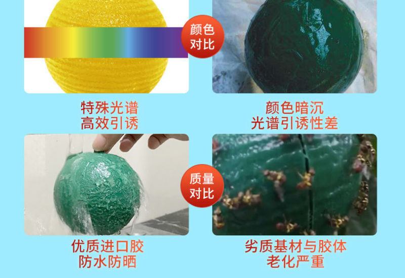 果实蝇诱蝇球针诱捕器大实蝇小实蝇引诱剂果蝇药果实蝇粘板