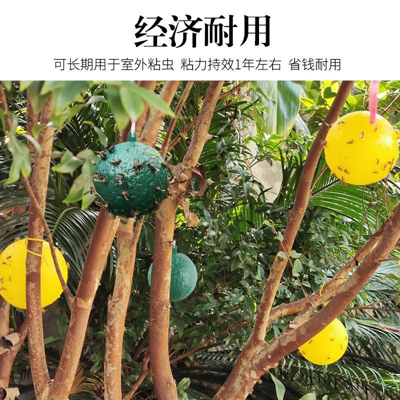 果实蝇诱蝇球针诱捕器大实蝇小实蝇引诱剂果蝇药果实蝇粘板