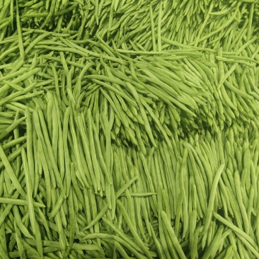 小金豆，四季豆质量好