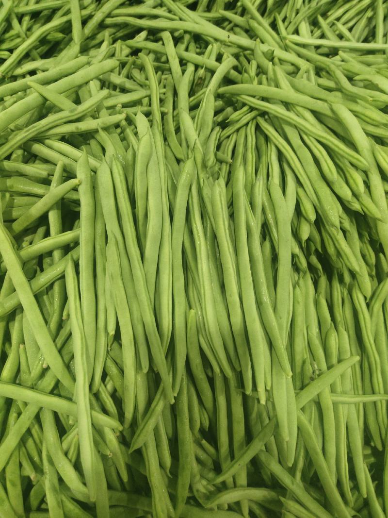 小金豆，四季豆质量好