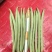 小金豆，四季豆质量好