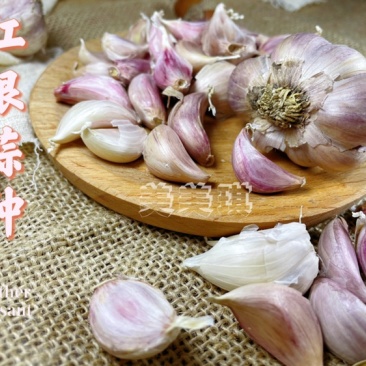 四川新繁蒜种小、中大、特大均有基地直供
